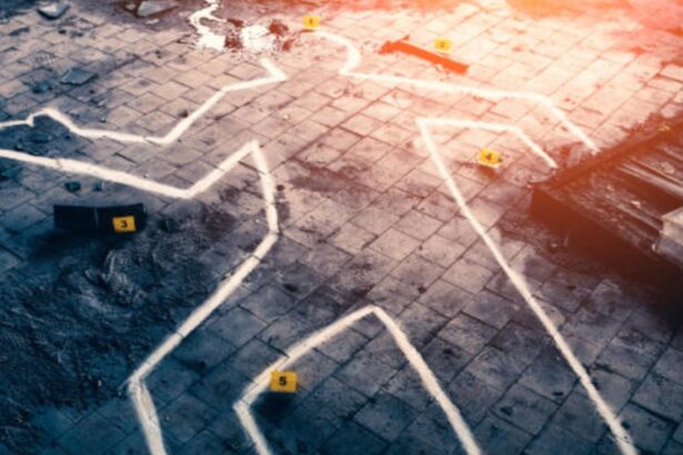 morti suspecte in barlogul lui tiriac doi oficiali sua gasiti fara suflare in cartierul stejarii decesele trase la indigo 68e50012aae02