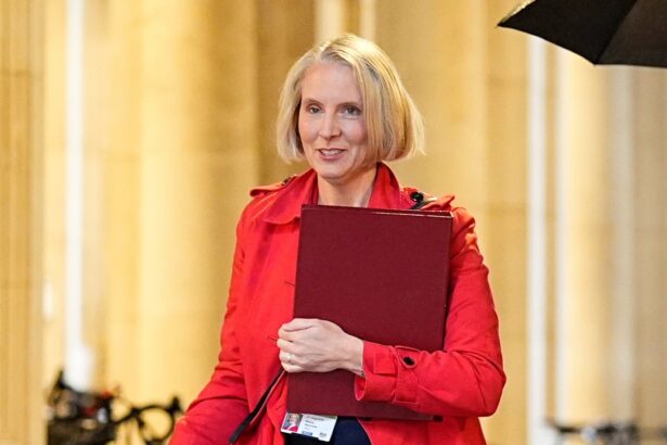 new planning bill could jeopardise uks trade deal with eu ambassador warns 6902248a293ad