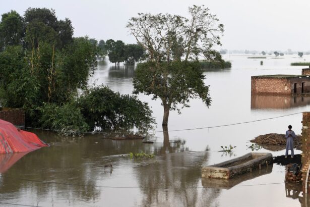 pakistani farmers to sue german polluters over climate linked flood damage 6900c4c912f01