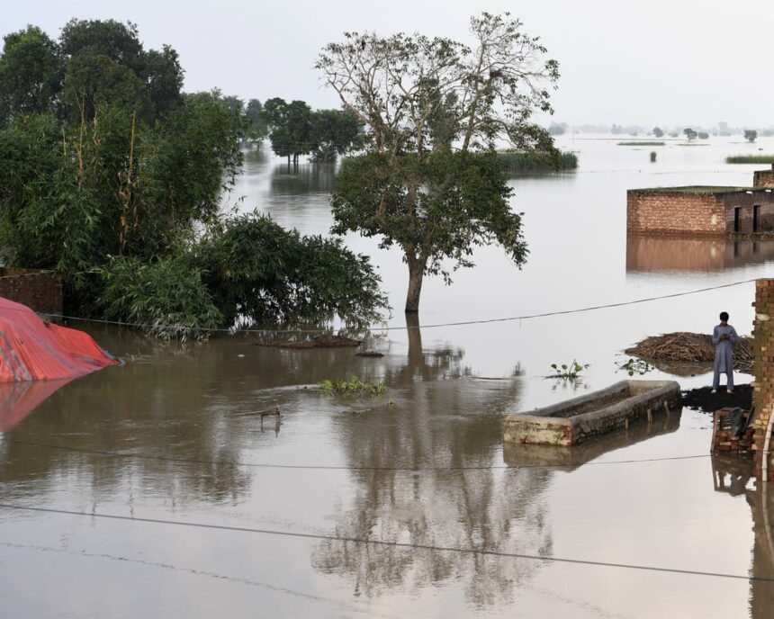 Fermierii pakistanezi dau în judecată poluatorii germani 1 pakistani farmers to sue german polluters over climate linked flood damage 6900c4c912f01