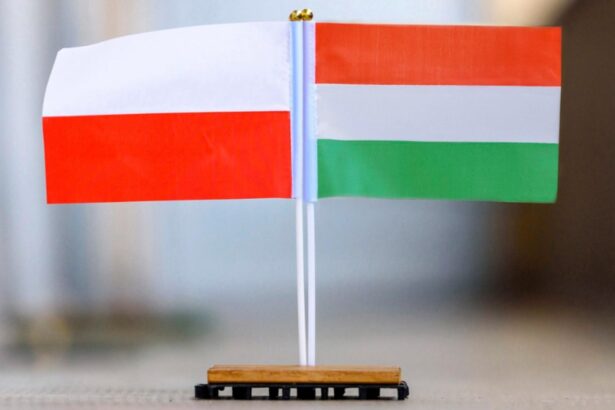 polonia si ungaria sfideaza bruxelles ul si resping pactul privind migratia 68e94c3e3d6b2