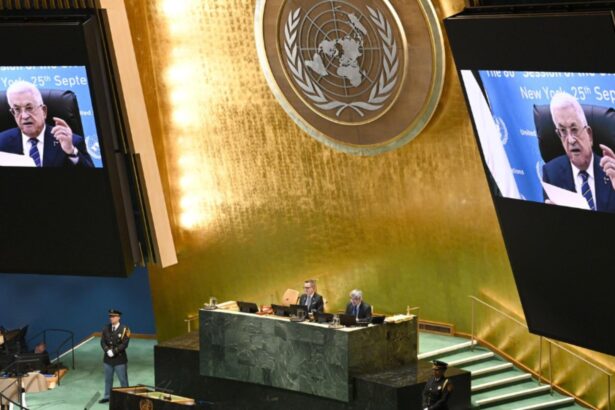 presedintele palestinian mahmoud abbas dupa acordul de incetare a focului in gaza anuntat de sua pace securitate si stabilitate intre palestinieni si israel 68e88d79e23d6