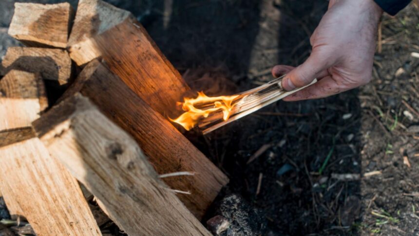 Evoluția prețurilor lemnului de foc în 2025. Care este tariful Romsilva pentru un metru cub? 1 preturile la lemnul de foc in 2025 cu cat da romsilva metru cub 68dd0c9444188