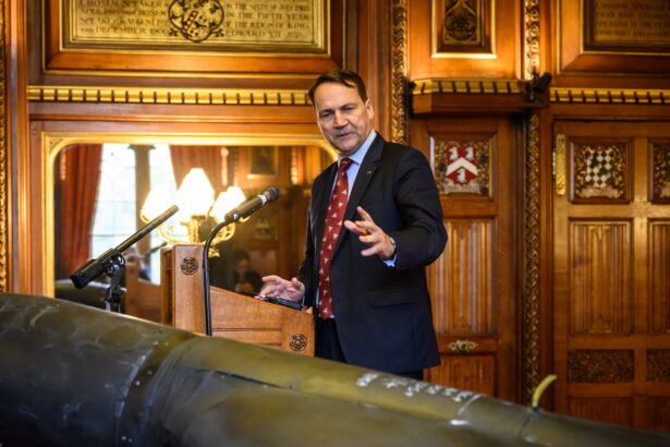 russian drone incursion tactically stupid and counterproductive says polish minister 68efaad0530a8