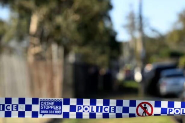 scene de groaza pe o strada din sydney un barbat inarmat a tras intre 50 si 100 de focuri de arma 20 de victime 68e349d9322cb