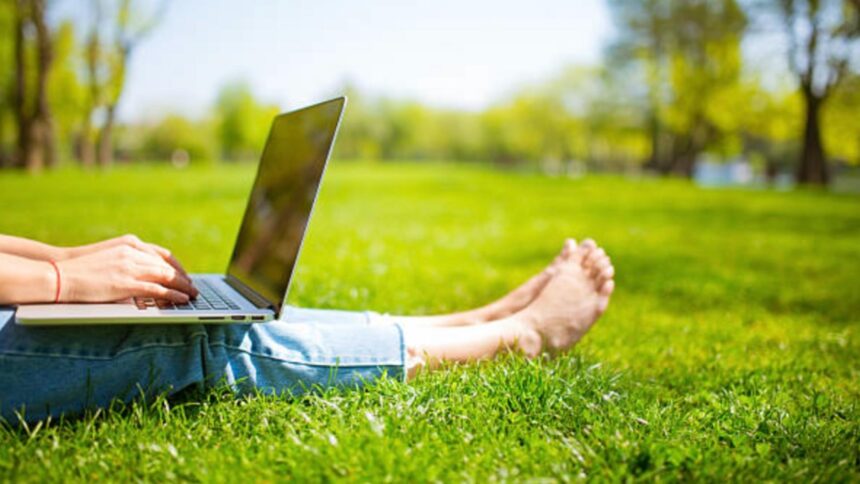 Spațiile verzi în lumina comparației: Haga, Washington, Oslo și București 1 spatiile verzi o calatorie comparativa intre haga washington oslo bucuresti 68de1ec730648