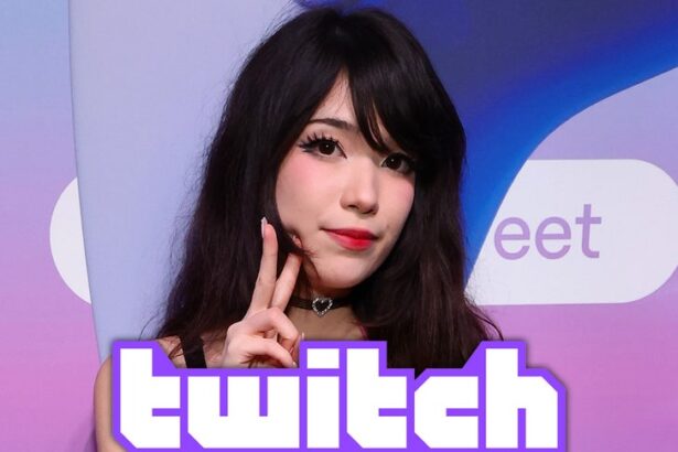 streamer emiru allegedly assaulted at twitchcon blasts event security 68f401b40515e