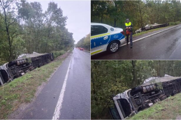 tir incarcat cu pui rasturnat pe dn 24 in judetul vaslui soferul a fugit de la locul accidentului 68e6043f9c74b