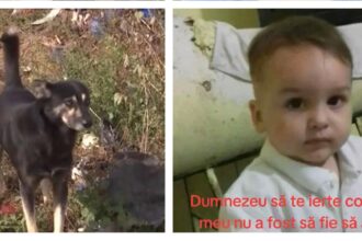 tragedie in vrancea un copil de trei ani gasit mort intr un canal micutul a fost atacat de 8 caini in drum spre bunica sa 68e3d8c385eca