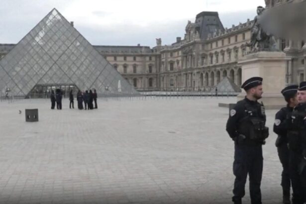 unul dintre hotii care au jefuit luvru surprins de un vizitator cel mai bine pazit muzeu din lume tinta unui jaf fara precedent 68f6226ff14a5