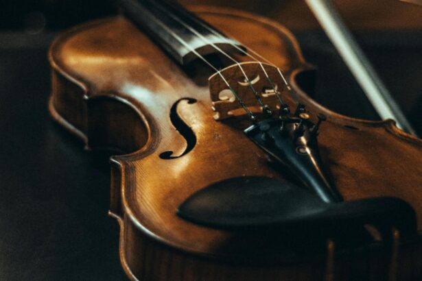 vioara lui albert einstein a fost vanduta la licitatie pentru o suma fabuloasa 68e7696e97ccd
