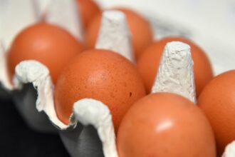warnings of imports of caged hen eggs as ukraine and poland become uks biggest suppliers 68e0aa96b30c6