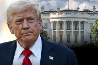 white house adds bill clinton scandal cocaine found to white house timeline 68faca667680f