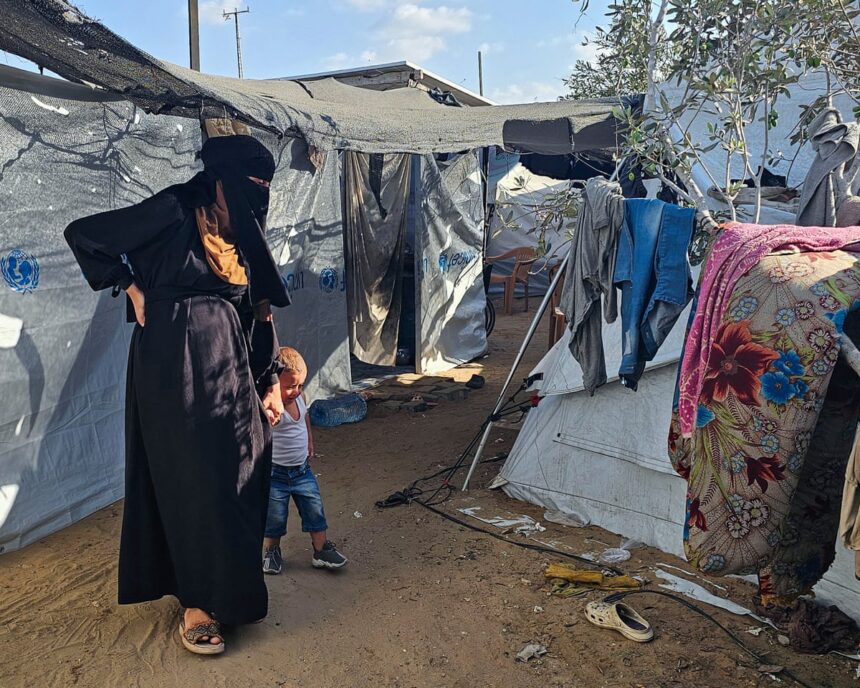 „Va veni pe lume în cort? Va avea hrană?”: realitatea sarcinii în Gaza 1 will my baby be born in a tent will it have food what its like to be pregnant in gaza 68dcef843b9f8