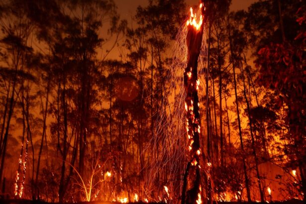 worlds climate plans fall drastically short of action needed analysis shows 69008465bb9bd