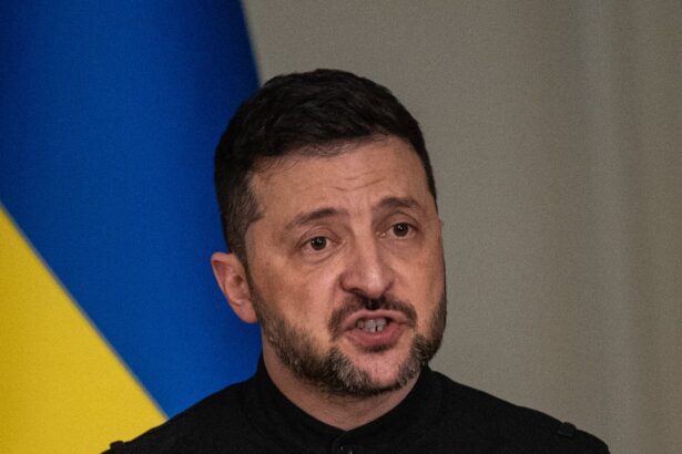 zelenskyy urges trump to use gaza ceasefire momentum to broker peace in ukraine 68eb37cb4890e