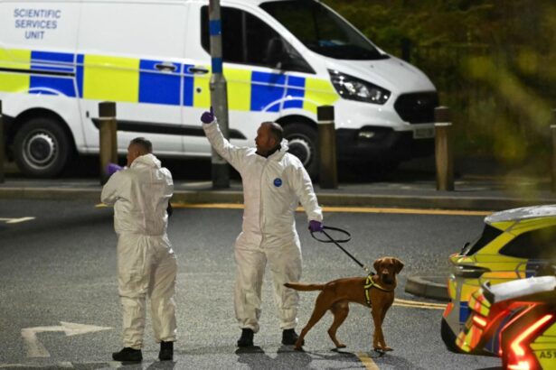 atac sangeros intr un tren din anglia noua oameni au fost injunghiati doi suspecti au fost arestati a fost activat plan de alerta antitero video 69070dbe83877