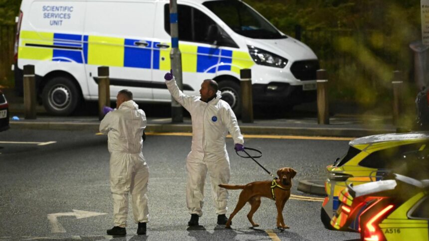 Atac sângeros într-un tren din Anglia: nouă răniți 1 atac sangeros intr un tren din anglia noua oameni au fost injunghiati doi suspecti au fost arestati a fost activat plan de alerta antitero video 69070dbe83877