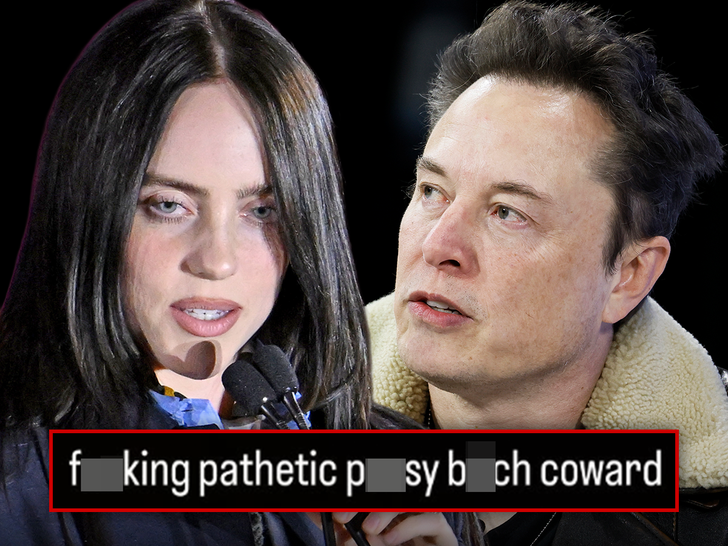 billie eilish calls elon musk a pathetic py in nsfw tirade 69163e28e17da