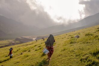 born in the forest the women giving birth alone in the kashmiri mountains 691baae88008d