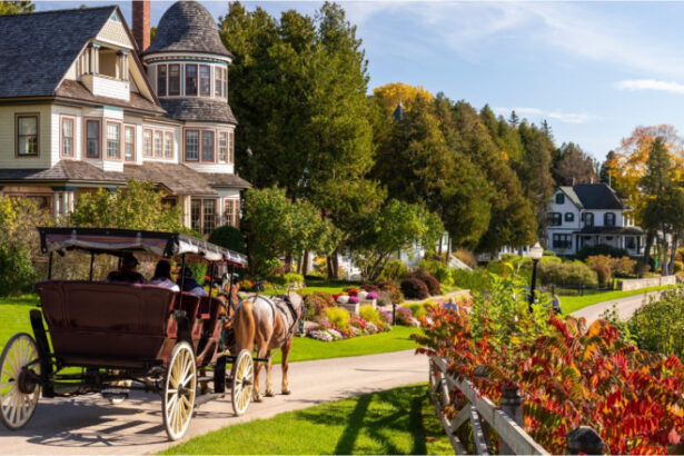 calul este rege insula din capitala mondiala a masinilor care a interzis automobilele inca de cand au fost inventate 691a37afc0715