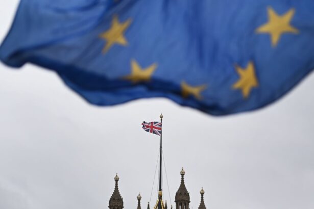 eu confirms it wants uk to pay into its budget in exchange for closer ties 691cc8d665ee2