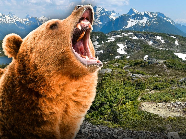Grizzly atacă studenți și profesori în drumeție 1 grizzly bear mauls students and teachers out for a leisurely hike 692083da16377