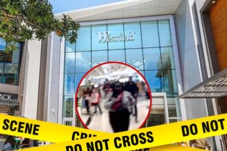 gunman shoots 3 people inside california mall video shows aftermath 692af14bcf888