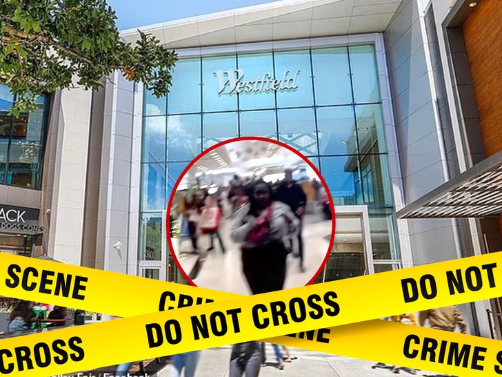Tir cu armă în mall din California: 3 răniți 1 gunman shoots 3 people inside california mall video shows aftermath 692af14bcf888