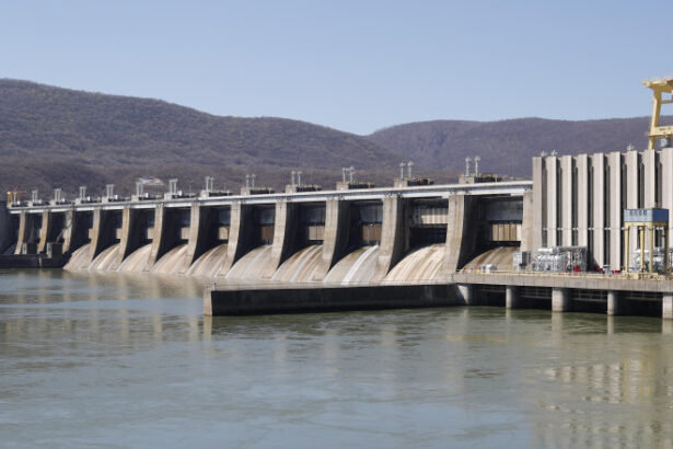 hidroelectrica anunta ca nu a numit un nou director general niciun candidat nu se aliniaza pe deplin cerintelor 69281e7c1008e