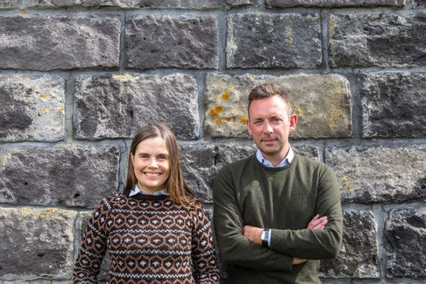 icelandic is in danger of dying out because of ai and english language media says former pm 69189061ddec0