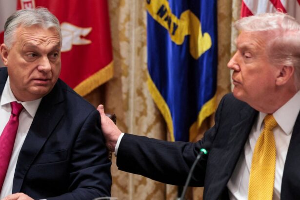 orbans claims of trump summit triumph mask growing doubts over his grip on power 69184fd58fdde