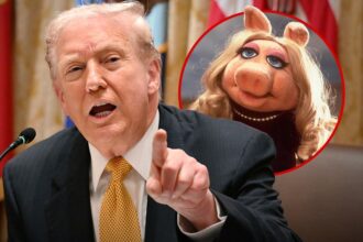 president trump loses his s over epstein question calls reporter a pig 691c84c295350