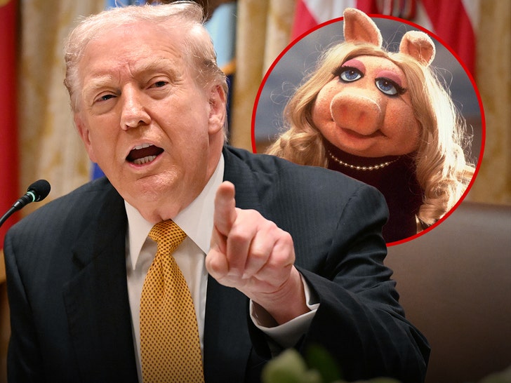 Trump răbufnește la întrebarea despre Epstein 1 president trump loses his s over epstein question calls reporter a pig 691c84c295350