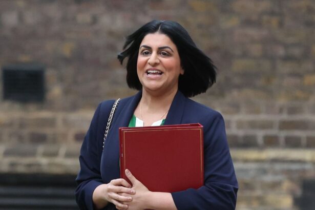 shabana mahmood accused of ethnic stereotyping by albanias pm 691db901b69a7