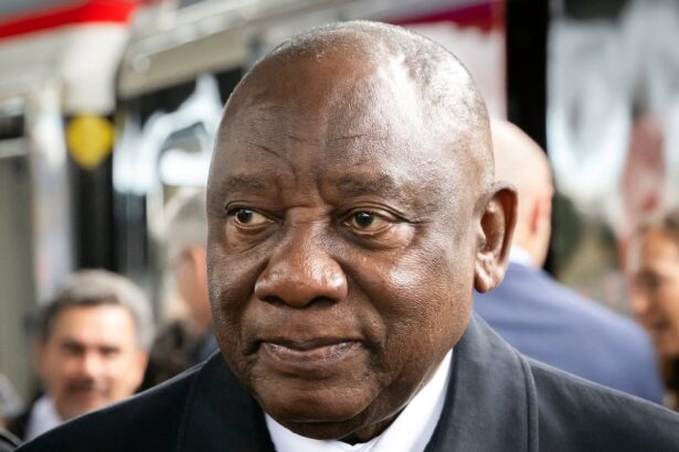 south africa launches investigation into 17 citizens fighting in ukraine 690cbb09df300