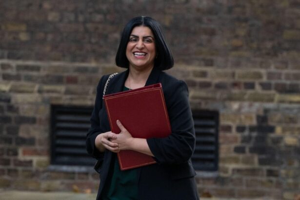 uk to announce plans to emulate stringent danish immigration system 690f583a21381