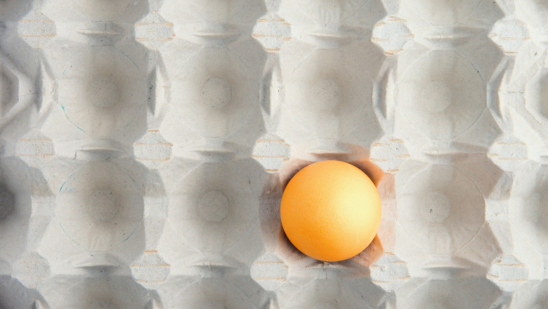 Criza ouălor din România și condițiile găinilor 1 video de ce a aparut o criza de oua in magazinele din romania are legatura cu conditiile in care traiesc gainile din ferme 692c961fc13c6