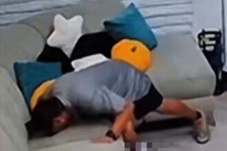 viral video shows man sniffing couch cushion where girl sat in dance studio 691f6d05d19c0