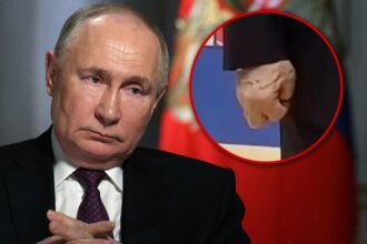 vladimir putin sparks renewed health concerns with hands 69133eb1dd9ea