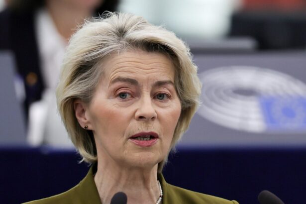 von der leyen warns against carving up of sovereign european nation amid crunch ukraine talks 6926eca19b8e9