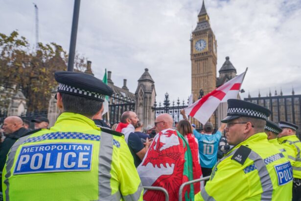 why does uk government want to copy denmarks immigration system 690f63e8c508c