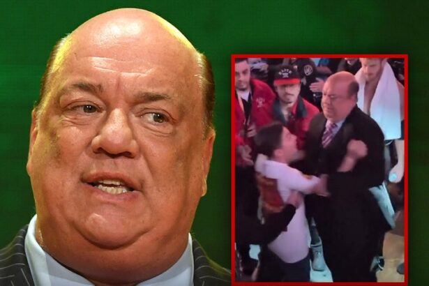 wwe star paul heyman shoves young fan away from logan paul on video 692caffed83cd