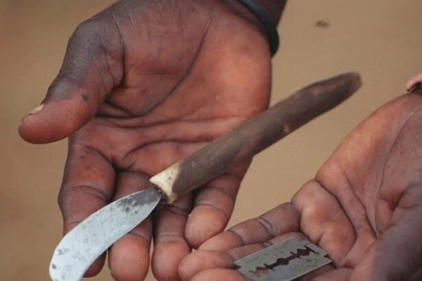 41 young men die in south africa after circumcision initiation 695567b2b5fb1