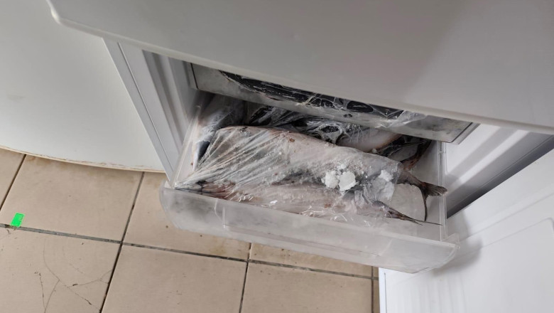 ANPC a dat amenzi de 1,6 milioane de lei în zone turistice 1 anpc a facut controale in zone turistice si a dat amenzi de 16 milioane de lei ce nereguli au fost descoperite 69498921df509