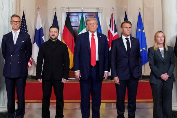 cultivate resistance policy paper lays bare trump support for europes far right 693368432e710