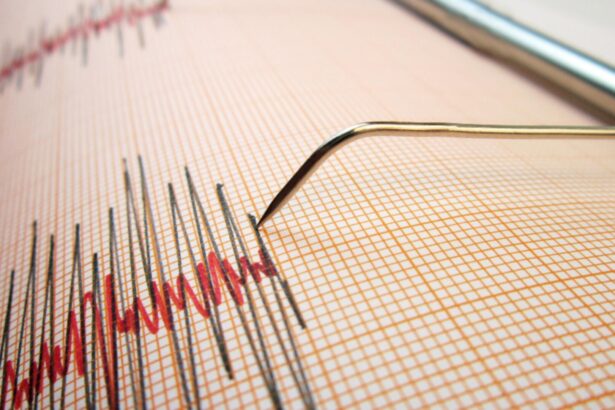 cutremur major la granita dintre canada si alaska magnitudinea estimativa intre 68 si 71 pe richter 69350c505c068