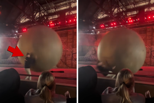 disney world employee gets clobbered by giant boulder on video 695533054d693