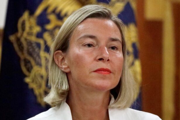 ex eu top diplomat federica mogherini accused of fraud and corruption 69302e26b762f