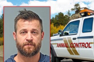 ex reality star arrested for child animal sex crimes had animals seized 6950704391531